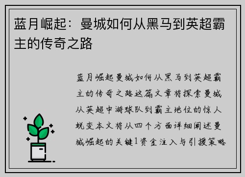 蓝月崛起：曼城如何从黑马到英超霸主的传奇之路